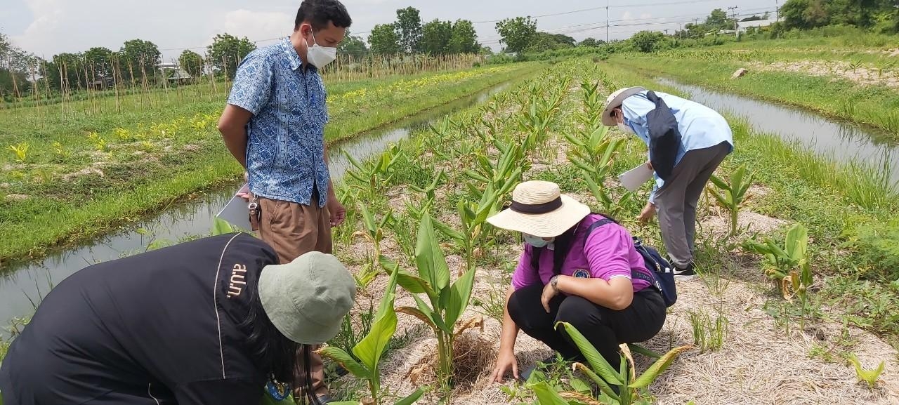 title - ลงพื้นที่ติดตามประเมินผลโครงการศูนย์ส่งเสริมและขยายพันธุ์พืชในเขตปฏิรูปที่ดิน อ.ลาดบัวหลวง จ.พระนครศรีอยุธยา